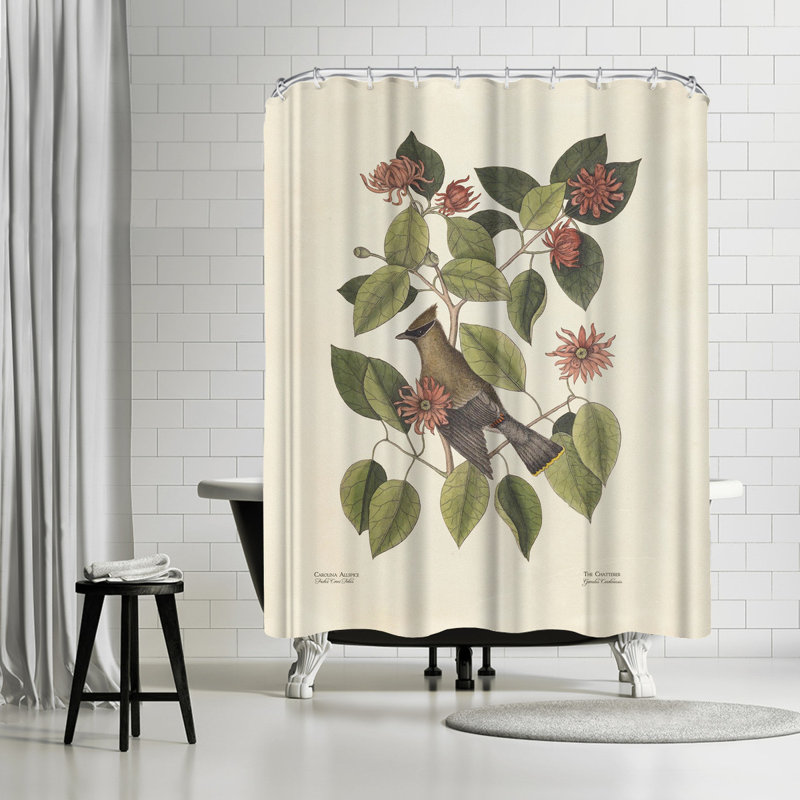 East Urban Home Adams Ale The Chatterer Single Shower Curtain Wayfair